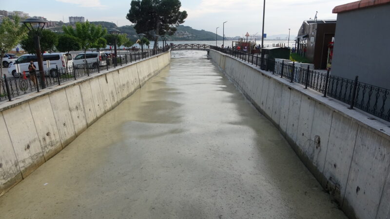 Marmara Denizi sahillerine yakın bölgelerde birçok noktada görülen deniz