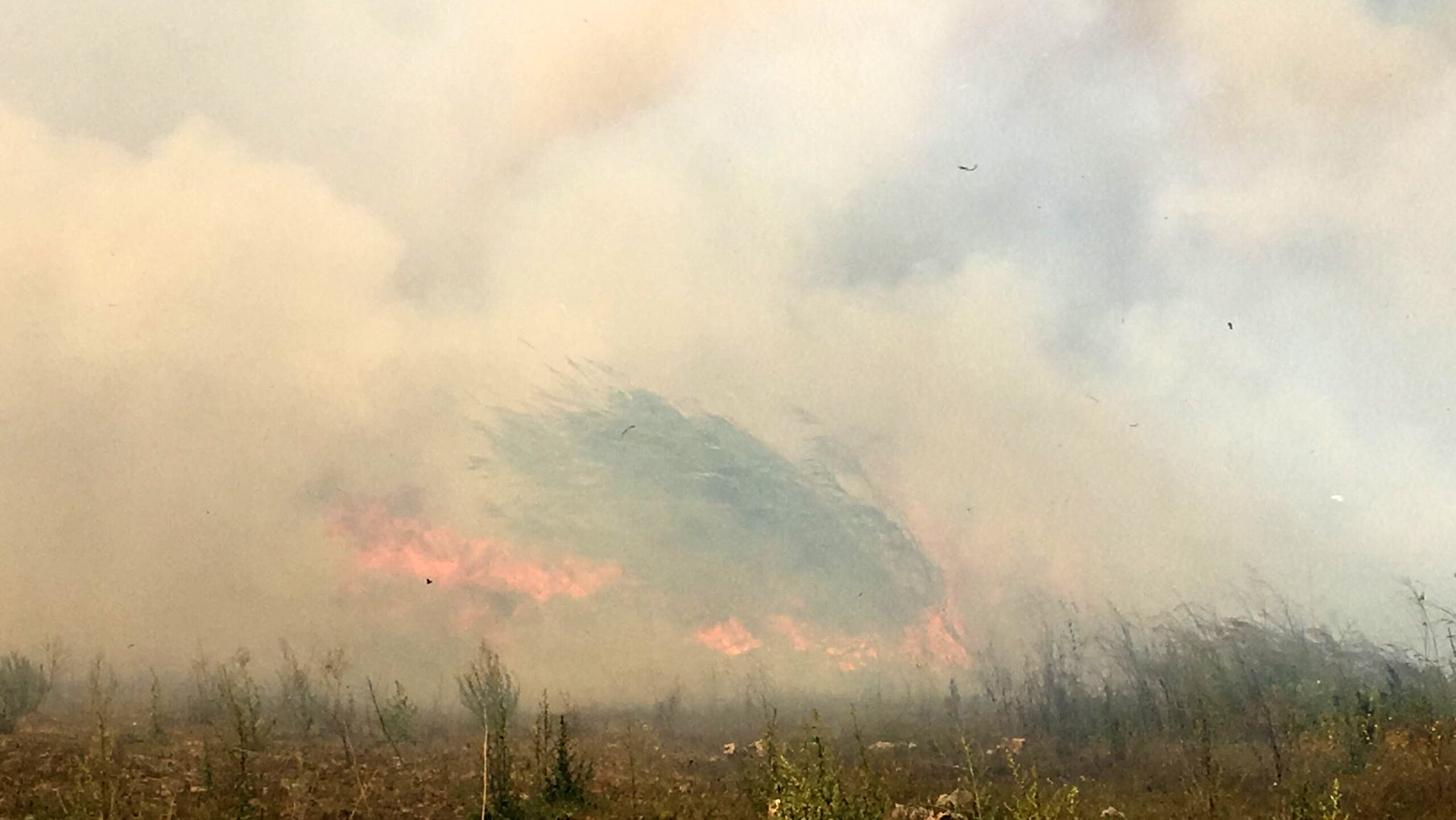 Seraların olduğu bölgede yangın! Yerleşim yerleri tehlike altında