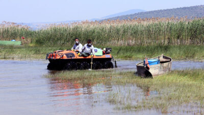 Bursa’da sinekle mücadele hız kesmiyor