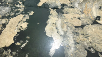 Marmara Denizi’nde ‘deniz salyası’ istilası sürüyor