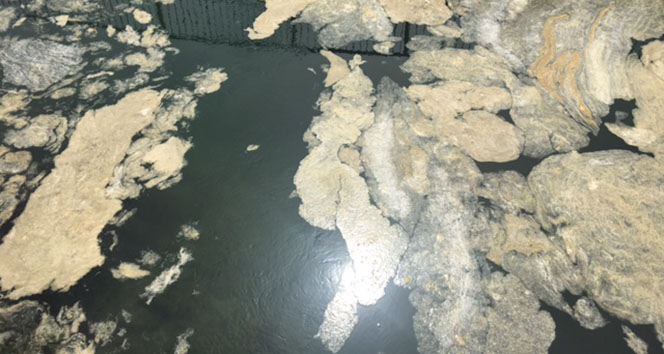 Marmara Denizi’nde ‘deniz salyası’ istilası sürüyor