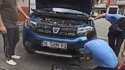 Bursa’da yavru kediyi kurtarma operasyonu