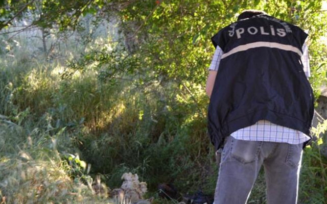 Vicdanları sızlatan olay! Çukur içerisinde bulundu