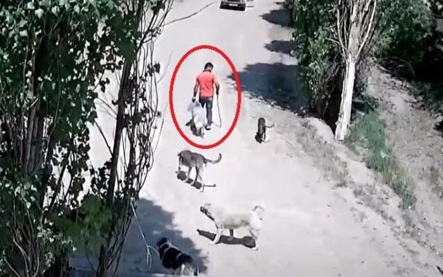 Mide bulandıran iddia! Soruşturma başlatıldı