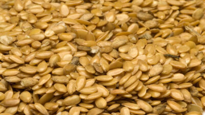 Adını bilmeyen kalmasın! Öyle bir faydası var ki…