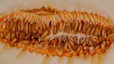 Dikkat! Tüm yağları eritme gücü var!