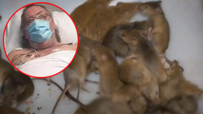 Yamyamlar her yerde!