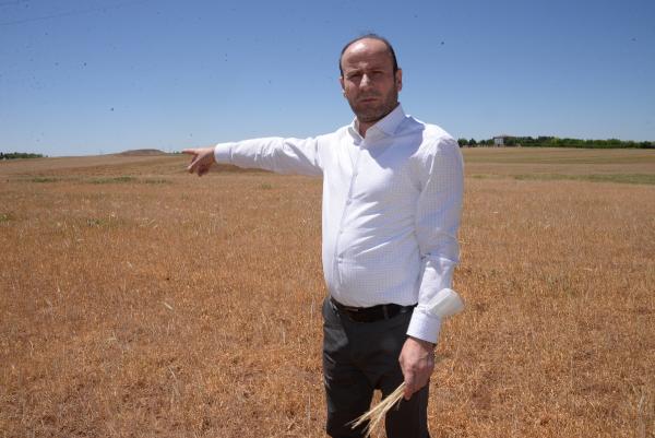 Kuraklık alarmı! Rekolte kaybı yüzde 80