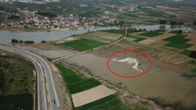 Yer: Bursa… Görenler şaşkın…