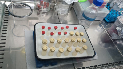 Yerli aşıya Bursa imzası!