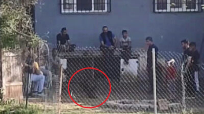 Bursa’da kısıtlamada horoz dövüştürdüler! O anlar kamerada