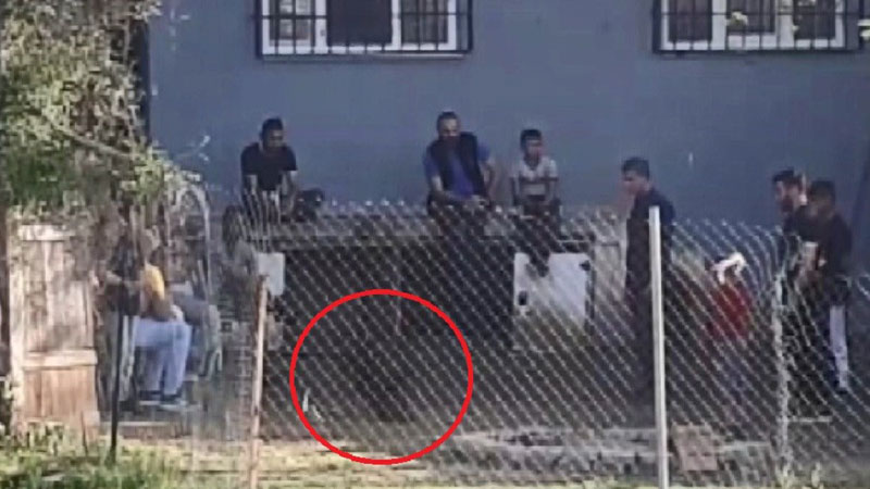 Bursa’da kısıtlamada horoz dövüştürdüler! O anlar kamerada