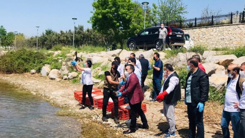 Doğa Koruma ve Milli Parklar 2. Bölge Bursa Müdürlüğü organizasyonuyla