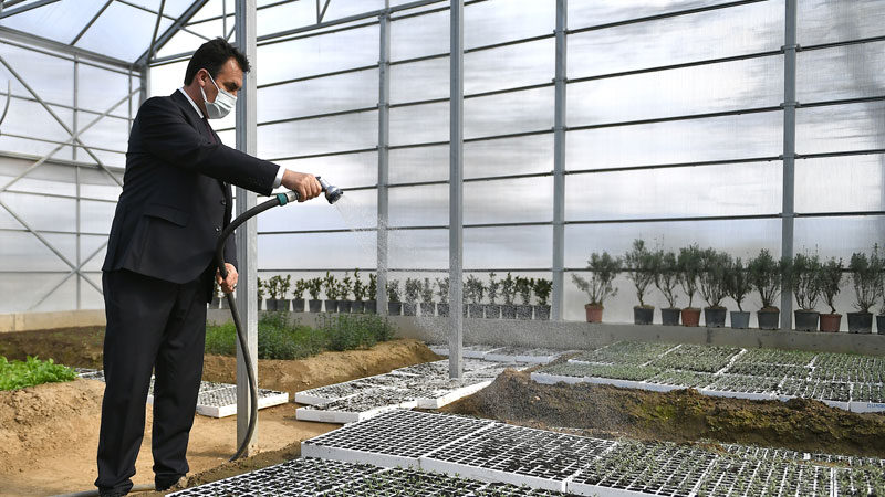 Osmangazi Belediyesi’nin Ekolojik Yaşam Merkezi’nde kurduğu serada ekilen ‘Ata Tohumları’