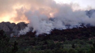 14 saatte söndürüldü! 7 hektar alan zarar gördü