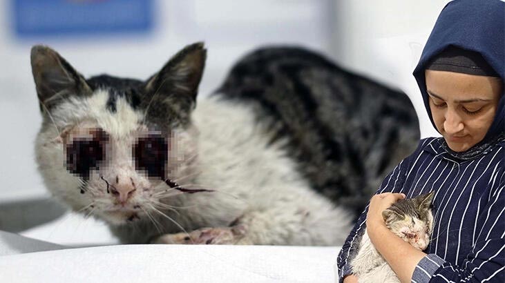 Bunun adı vahşet! Yol kenarında gördü, hemen yardıma koştu