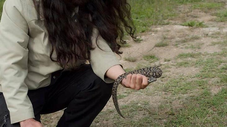 Bir ilde daha görüldü! Beyaz bantlı…