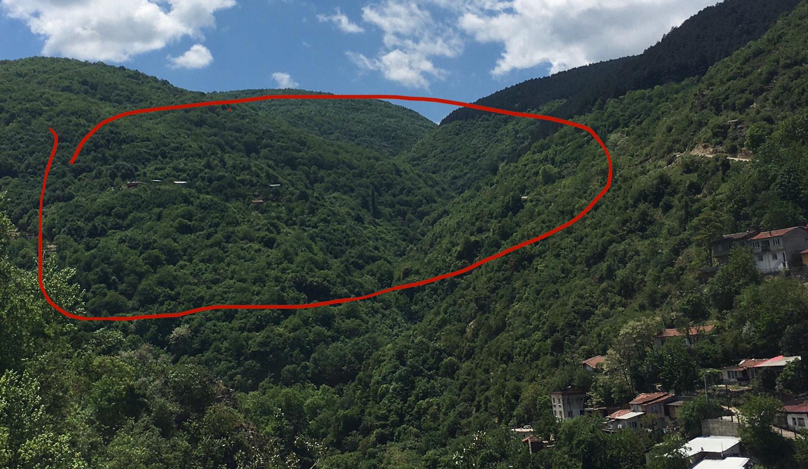 Uludağ elden gidiyor! Nereden buluyorlar bu cesareti?