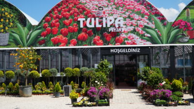 Bursa’da doğanın tüm renklerinin buluştuğu adres…