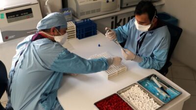 Yerli aşıda yeni gelişme