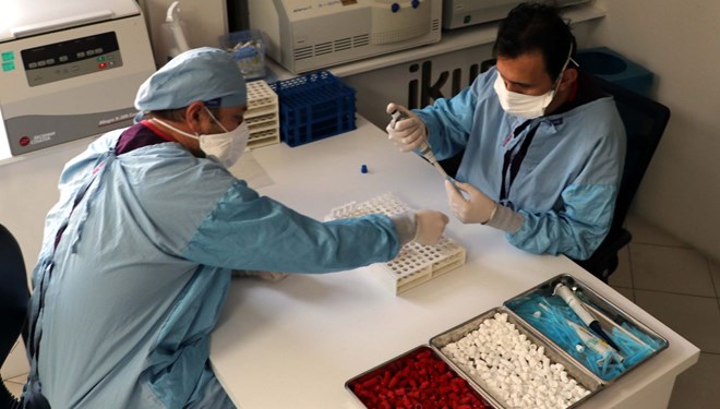 Yerli aşıda yeni gelişme