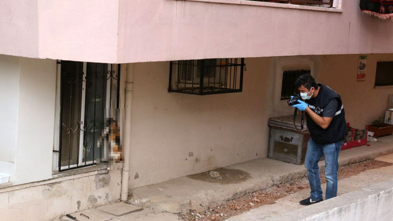 Bunun adı vahşet! Gözdağı vermek için kediyi öldürüp camına astılar