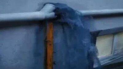 Mavi su bu kez işyerlerine aktı! Sokak köpekleri içip ölüyor