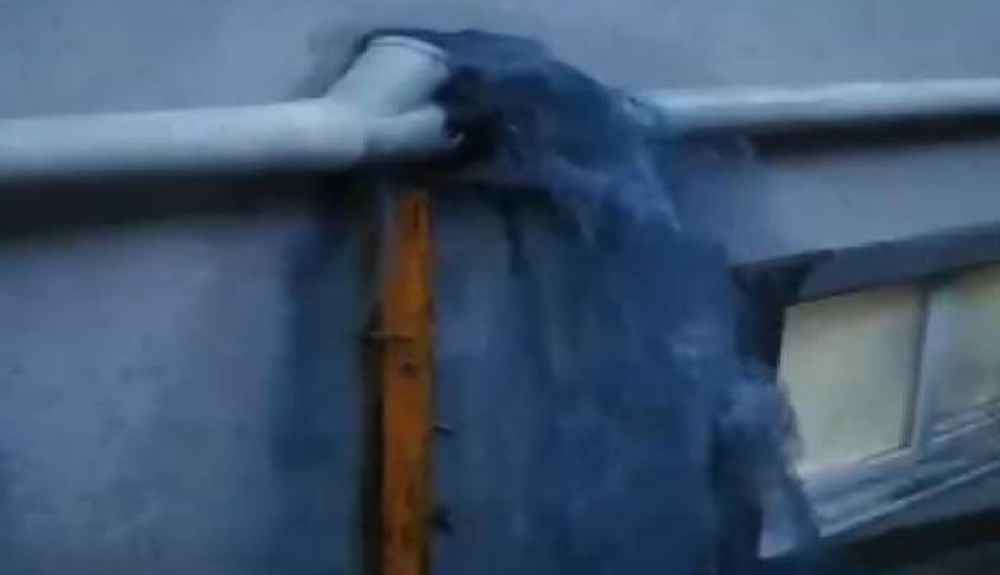 Mavi su bu kez işyerlerine aktı! Sokak köpekleri içip ölüyor