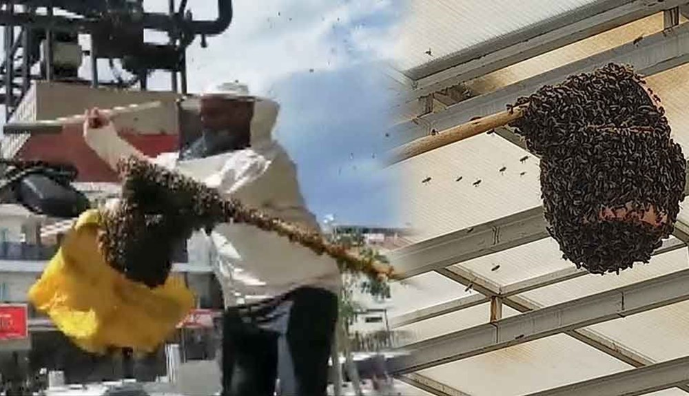 Hastanede panik! Acil servisi arılar bastı