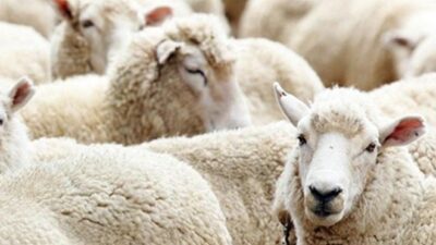 Kurban Bayramı ne zaman? (2021 Kurban Bayramı tatili kaç gün sürecek?)