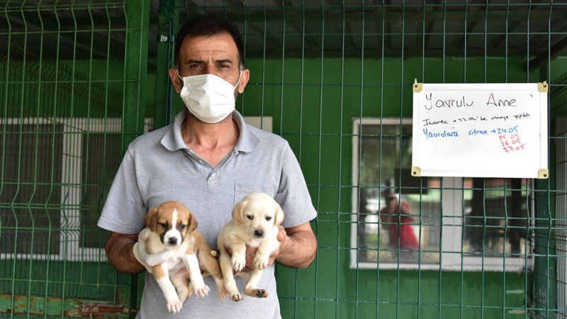 Yıldırım’da can dostları emin ellerde