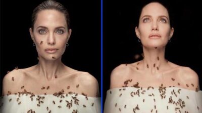 Angelina tek bir amaç için, önlem almadan dakikalarca arılarla poz verdi