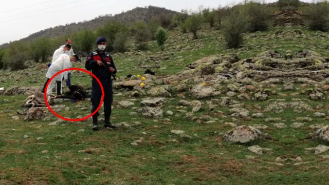 Baba ve oğlu öldürüldü! Çifte cinayetin nedeni pes dedirtti