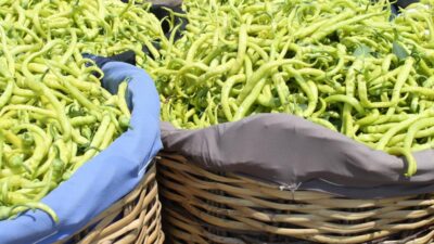 Bursa’da isyan ettiren fark! Üreticide 2 markette 10 TL!