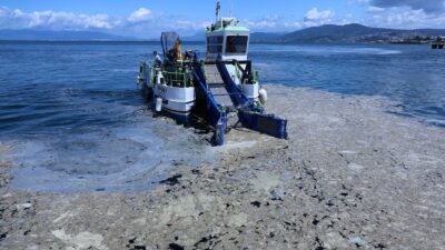 Bursa sahillerinde salya operasyonu