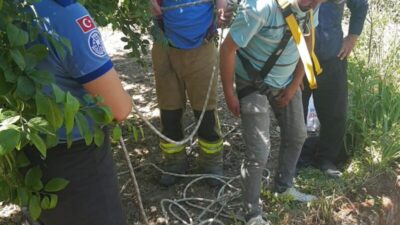 Bursa’da kuyuya düşen çakalı ekipler kurtardı