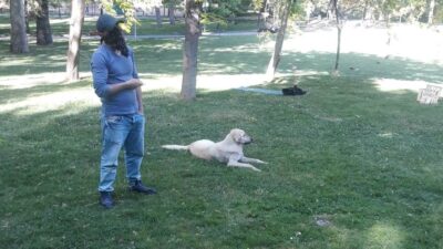 Bursa’da “yok artık” dedirten rekor ceza! Böylesini hiç duymadınız…