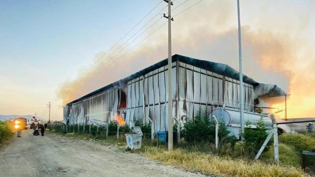 Çiftlikte yangın: 220 ton saman yandı