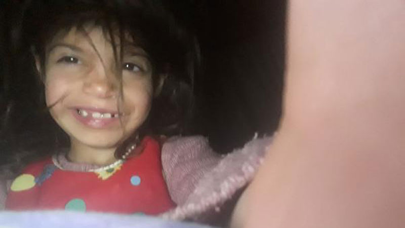 Korkunç olay! Köpeklerin saldırısında hayatını kaybetti