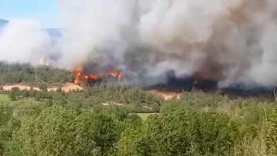 Kastamonu’da orman yangını