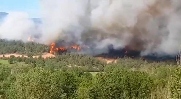 Kastamonu’da orman yangını