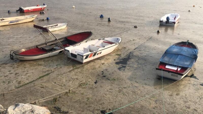 Gemlik’te korkutan görüntü! Bursa'nın Gemlik körfezindeki plankton patlaması balık ölümlerini de beraberinde getirdi.
