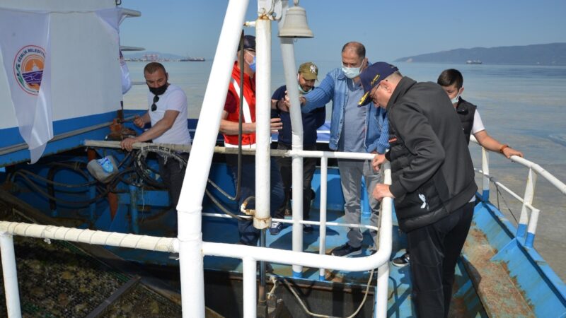 Gemlik Belediyesi, bir süredir Marmara Denizi’nde etkisini sürdüren ve Gemlik