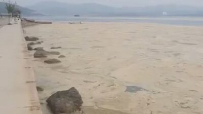 Bu görüntü Bursa’dan! Beyaza büründü