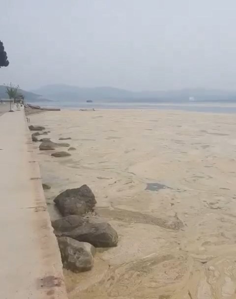 Bu görüntü Bursa’dan! Beyaza büründü Bu görüntü Bursa’dan! Beyaza büründü