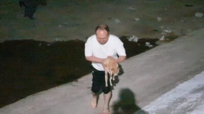 Bursa’da gölete düşen kediyi boğulmaktan kurtardı