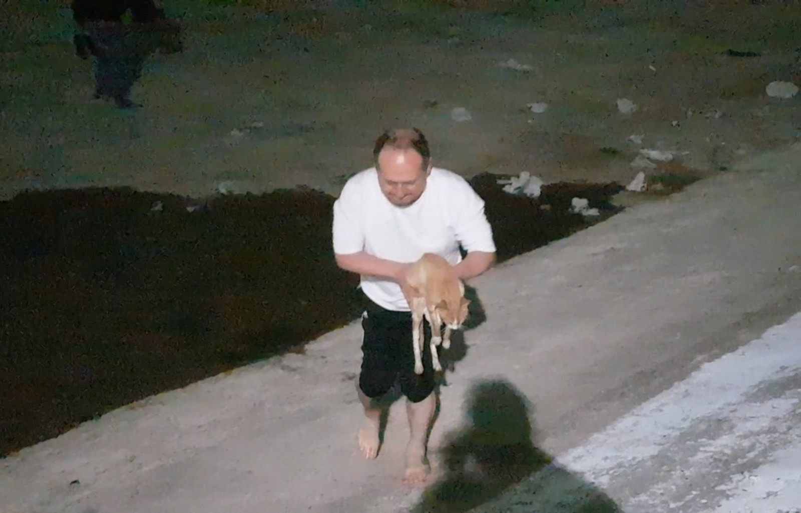 Bursa’da gölete düşen kediyi boğulmaktan kurtardı Bursa’da gölete düşen kediyi boğulmaktan kurtardı