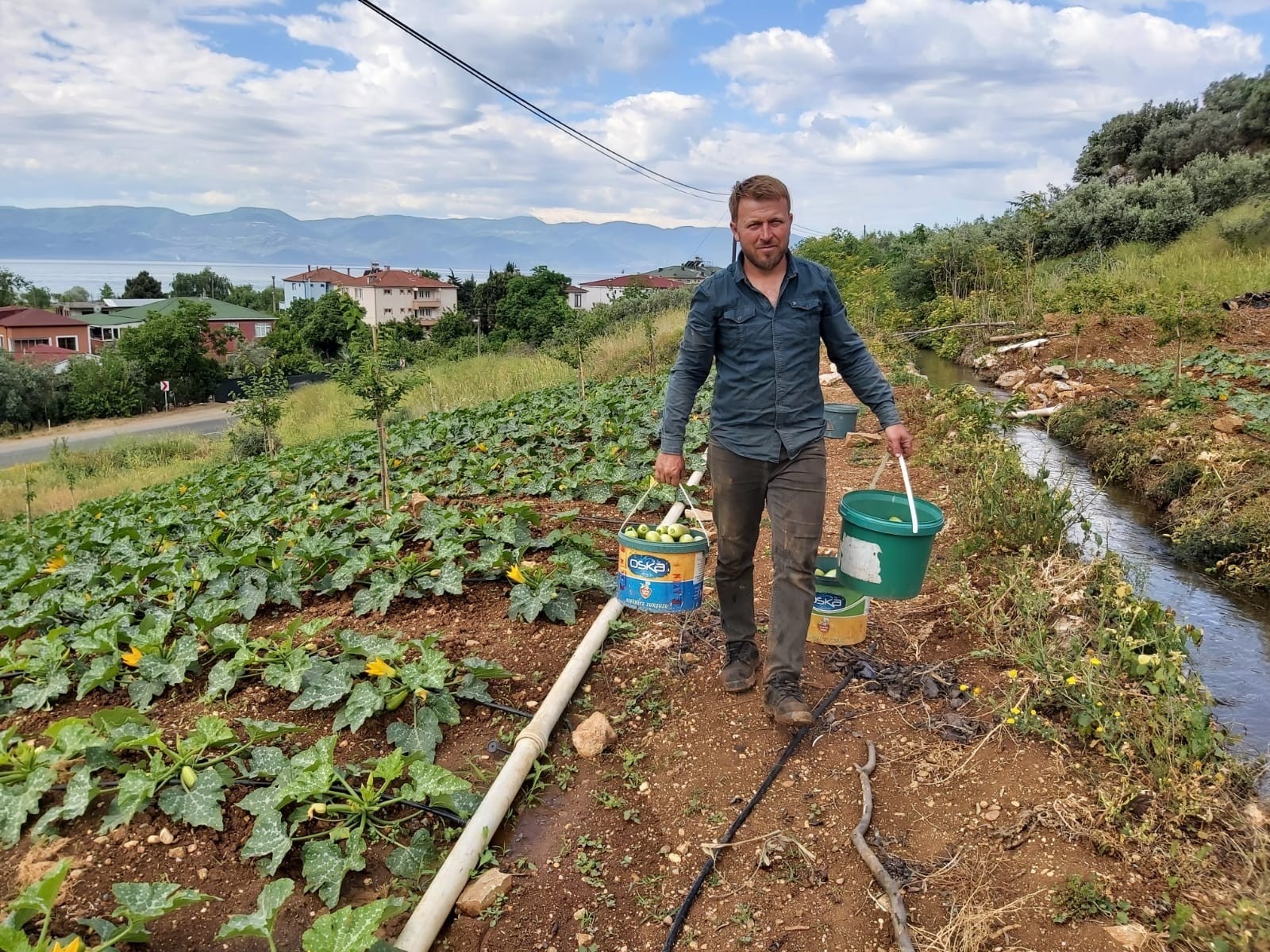 Bursa’da kabak hasadı başladı