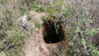 Defineciler ormanı delik deşik etti