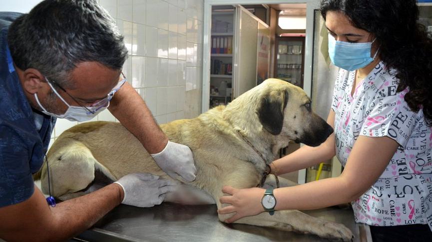 Bu nasıl vicdansızlık! İfadeleri ‘pes’ dedirtti